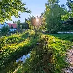 By The Creek Vászoly