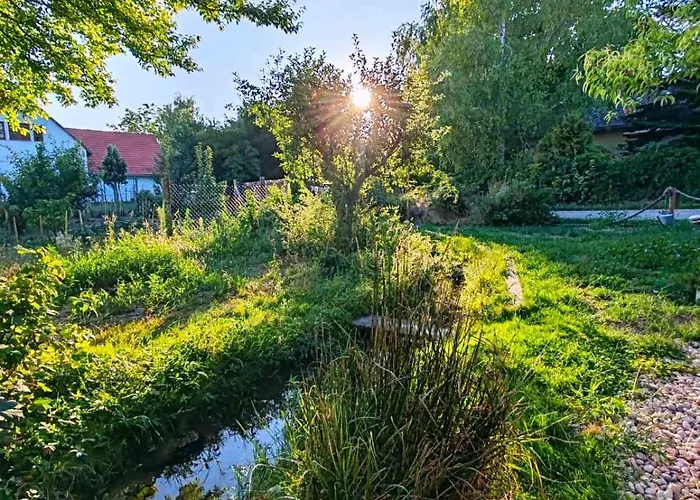 By The Creek Vászoly