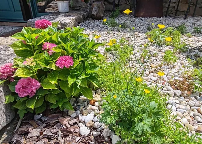 By The Creek シャレー Vászoly