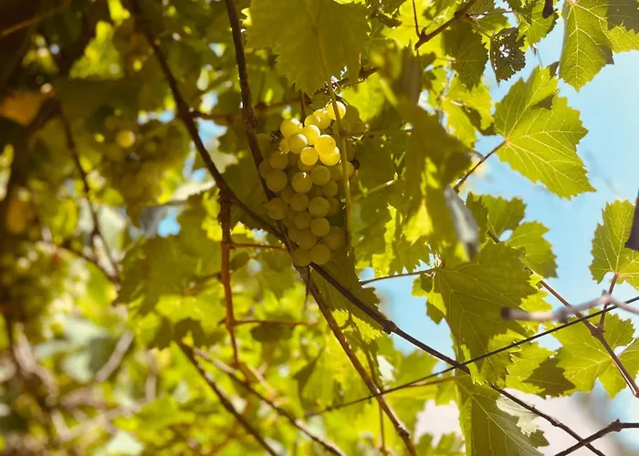 シャレー By The Creek *