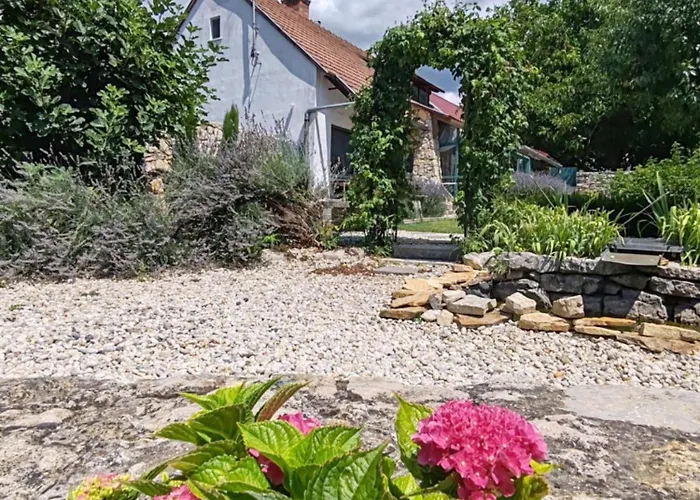 By The Creek Vászoly