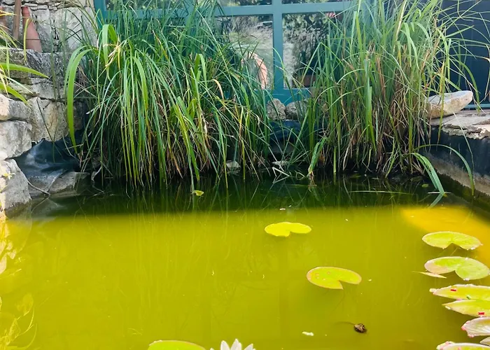 シャレー By The Creek *