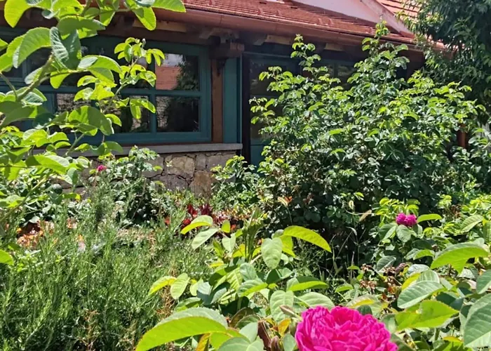 By The Creek シャレー